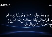 ما هي الشركات المشهورة في مجال العملات المشفرة في الولايات المتحدة؟