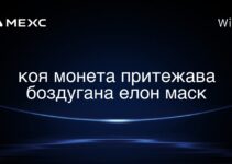 коя монета притежава боздугана елон маск