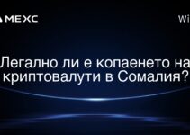Легално ли е копаенето на криптовалути в Сомалия?