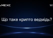 Що таке крипто ведмідь?