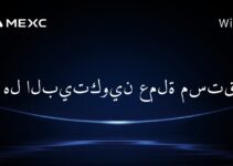 هل البيتكوين عملة مستقرة؟