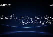هل هناك أي ضرائب على العملات المشفرة في تونغا؟