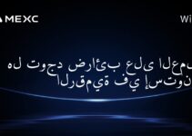 هل توجد ضرائب على العملات الرقمية في إستونيا؟