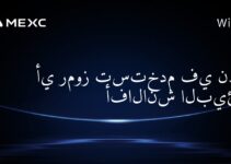 أي رموز تستخدم في نظام أفالانش البيئي