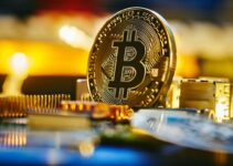 Bitcoin Güç Yasası Nedir? Model, Grafik ve Hesaplayıcı Kılavuzu