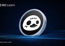 ما هو DuckCoop (DUCKS)؟ 5.3 مليون مستخدم يبنون مجتمع Duck
