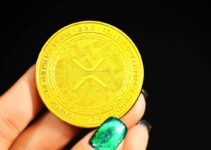 Qu’est-ce que l’ETF XRP ? État de l’approbation de la SEC, date de lancement et guide d’investissement