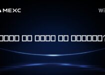 솔라나는 어떤 블록체인 위에 구축되었나요?
