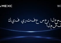 كيف يرتفع سعر العملات المشفرة؟