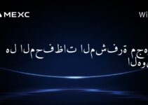 هل المحفظات المشفرة مجهولة الهوية؟