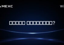 비트코인은 스테이블코인인가?