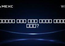 코인베이스 월렛에 솔라나 네트워크 추가하는 방법은?