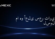 ما هو أعلى سعر تاريخي لسولانا؟