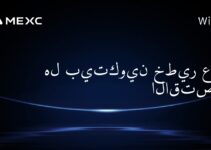 هل بيتكوين خطير على الاقتصاد؟