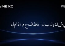 لماذا محفظة البلوكشين؟
