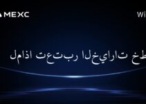 لماذا تعتبر الخيارات خطرة؟