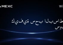كيفية سحب البساط من سولانا
