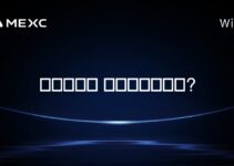 이더리움이 저평가되었나요?