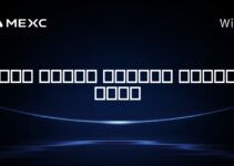کدام صندوق رمزارز بهترین است؟