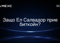 Защо Ел Салвадор прие биткойн?