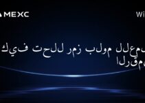 كيف تحلل رمز بلوم للعملات الرقمية؟