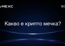 Какво е крипто мечка?