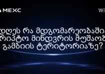 დღეს რა მდგომარეობაშია კრიპტო მინდვრის მუშაობა გამბიის ტერიტორიაზე?