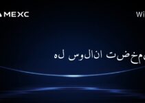 هل سولانا تضخمية؟