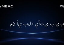 من أي بلد يأتي بايبت؟