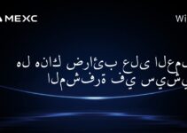 هل هناك ضرائب على العملات المشفرة في سيشيل؟