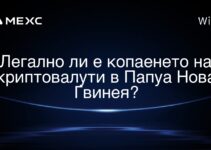 Легално ли е копаенето на криптовалути в Папуа Нова Гвинея?
