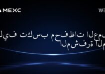 كيف تكسب محفظات العملات المشفرة المال؟