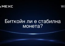 Биткойн ли е стабилна монета?