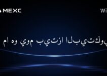 ما هو يوم بيتزا البيتكوين؟