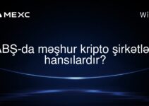 ABŞ-da məşhur kripto şirkətləri hansılardır?