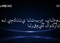 هل يمكنني التبرع بالعملات الرقمية لأوكرانيا؟