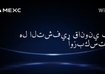 هل التشفير قانوني في أوزبكستان؟