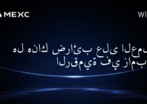 هل هناك ضرائب على العملات الرقمية في زامبيا؟