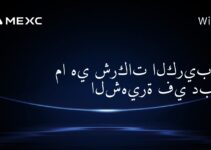 ما هي شركات الكريبتو الشهيرة في دبي؟