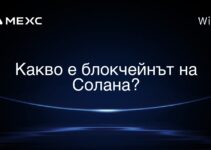 Какво е блокчейнът на Солана?