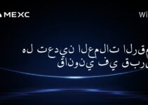 هل تعدين العملات الرقمية قانوني في قبرص؟