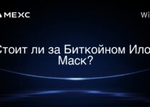Стоит ли за Биткойном Илон Маск?