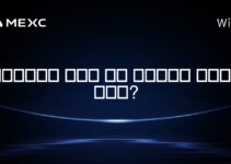 포트폴리오에 얼마나 많은 암호화폐를 포함해야 할까요?