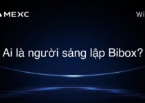 Ai là người sáng lập Bibox?