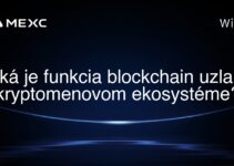 Aká je funkcia blockchain uzla v kryptomenovom ekosystéme?