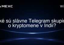 Aké sú slávne Telegram skupiny o kryptomene v Indii?