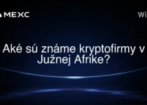 Aké sú známe kryptofirmy v Južnej Afrike?