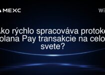 Ako rýchlo spracováva protokol Solana Pay transakcie na celom svete?