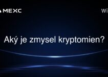Aký je zmysel kryptomien?