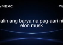 alin ang barya na pag-aari ni elon musk